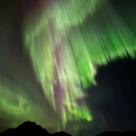 Lofoten Sea View Rorbu -unique Hideaway In The Heart Of Lofoten * Vestvagoy